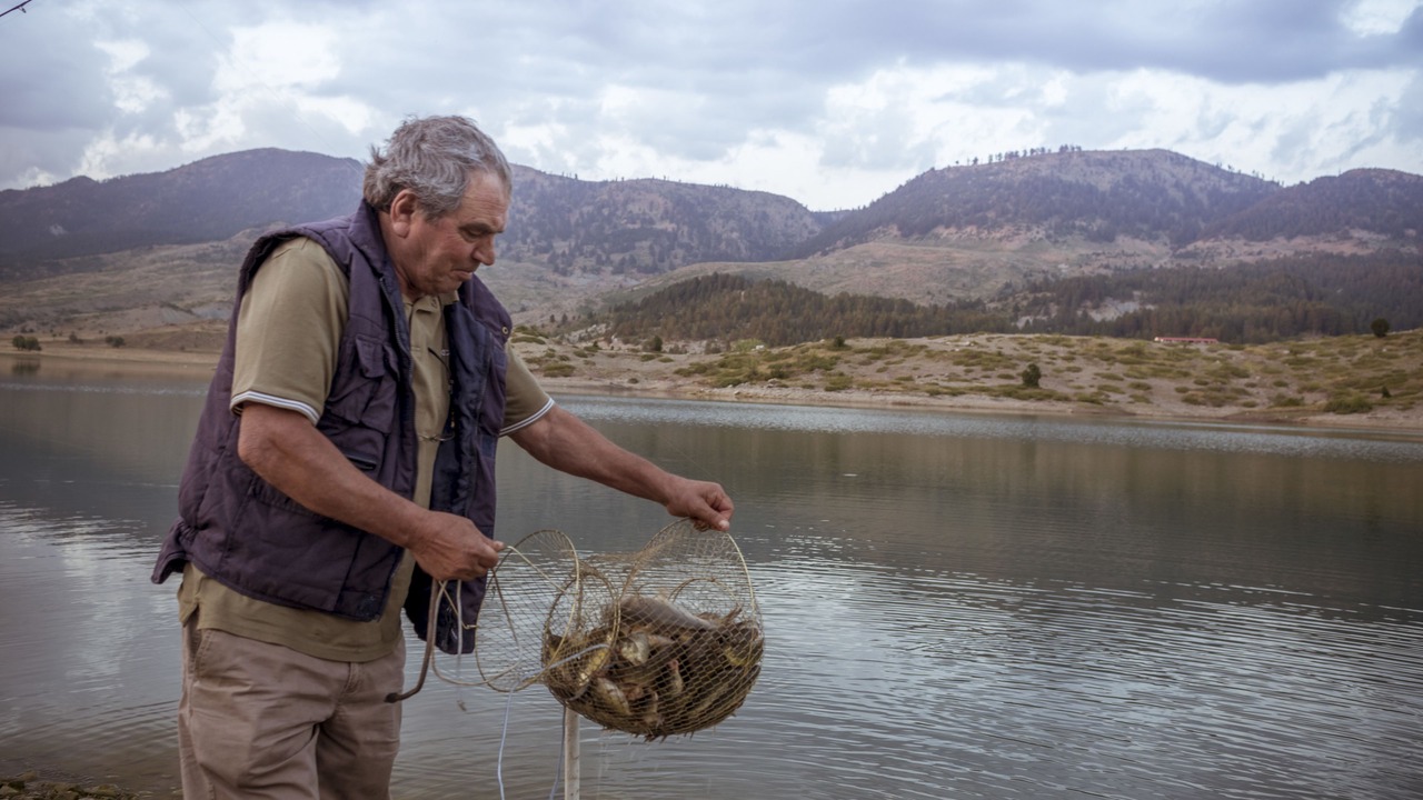 Photo of Others in Metsovo