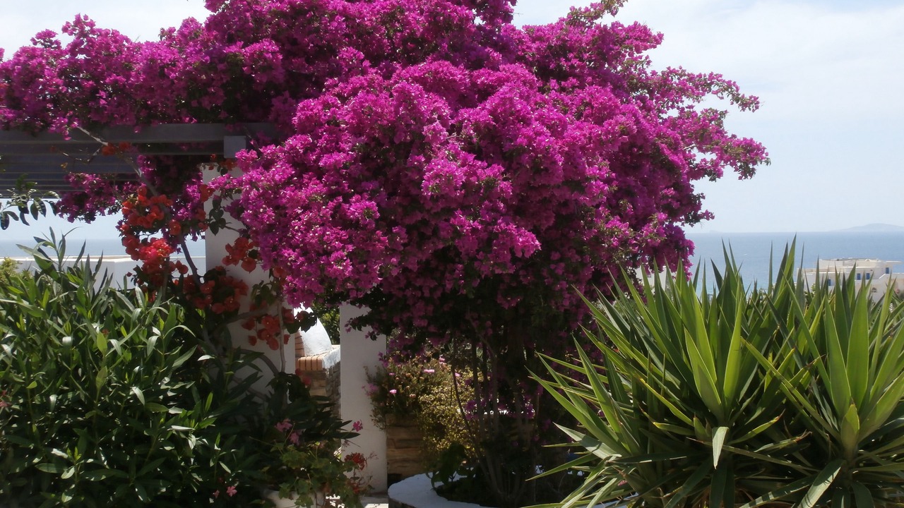 Photo of Outdoor in Kionia