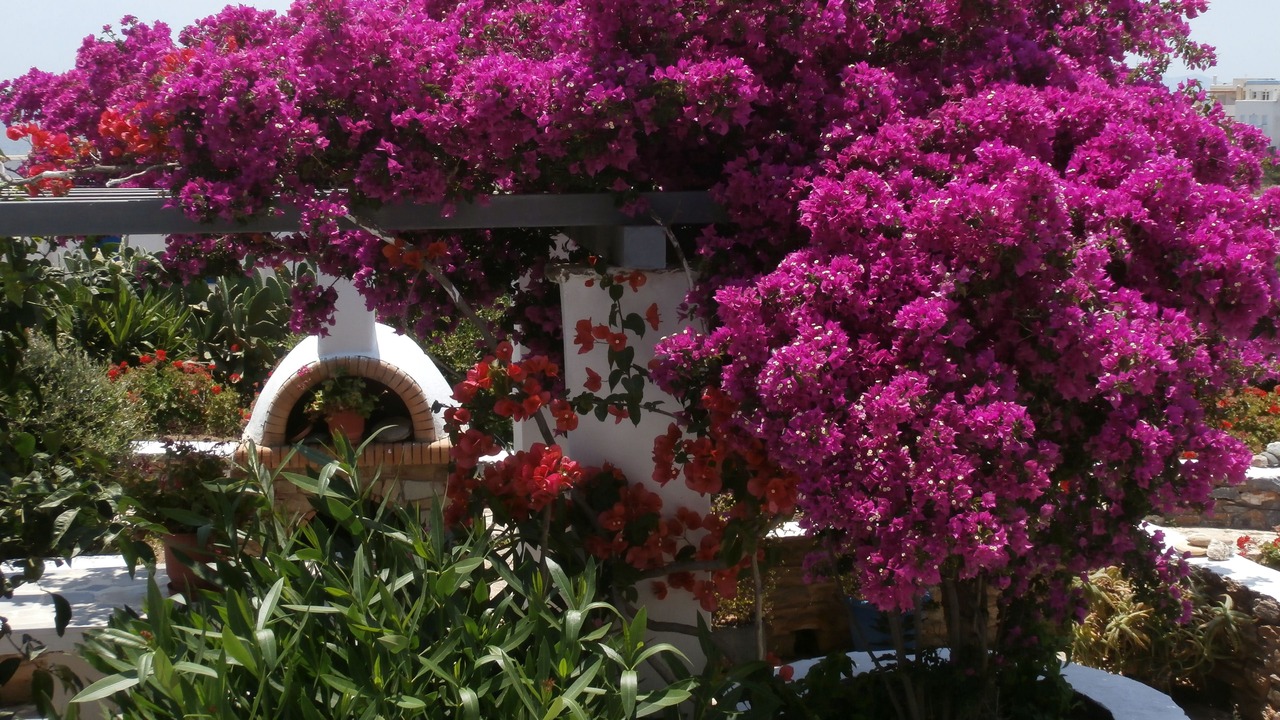 Photo of Outdoor in Kionia