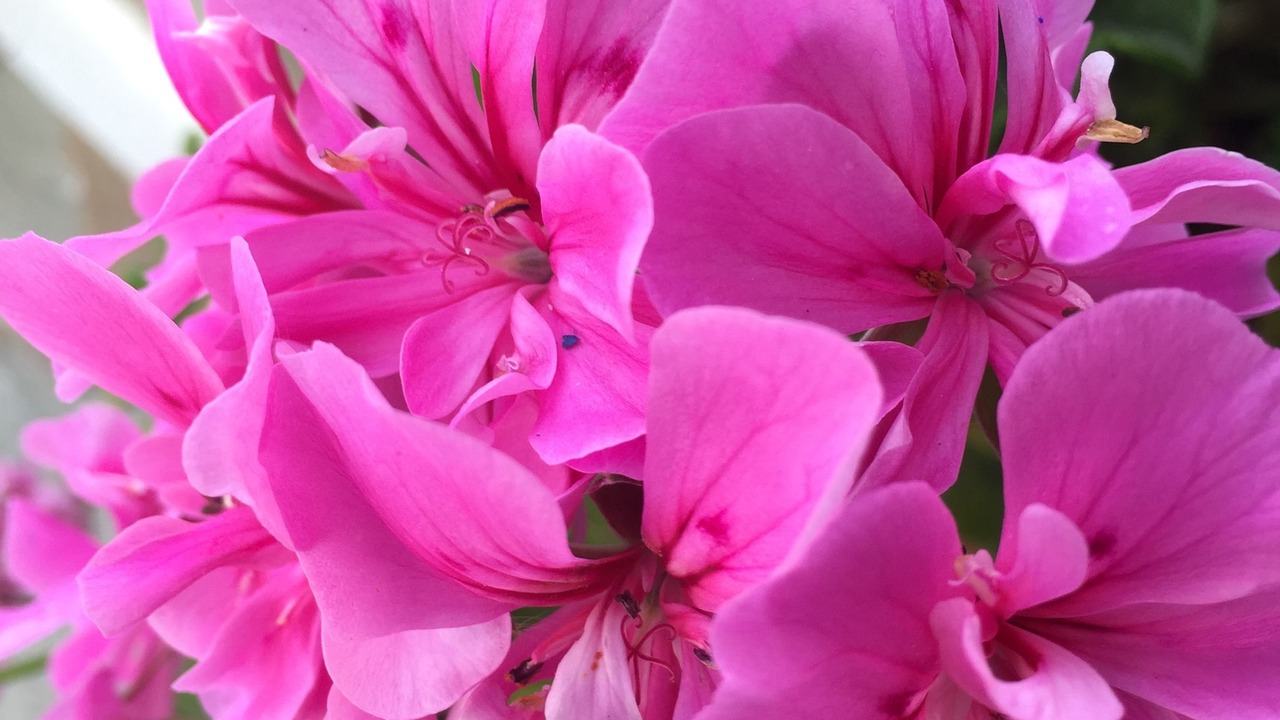 Photo of Others in Kionia