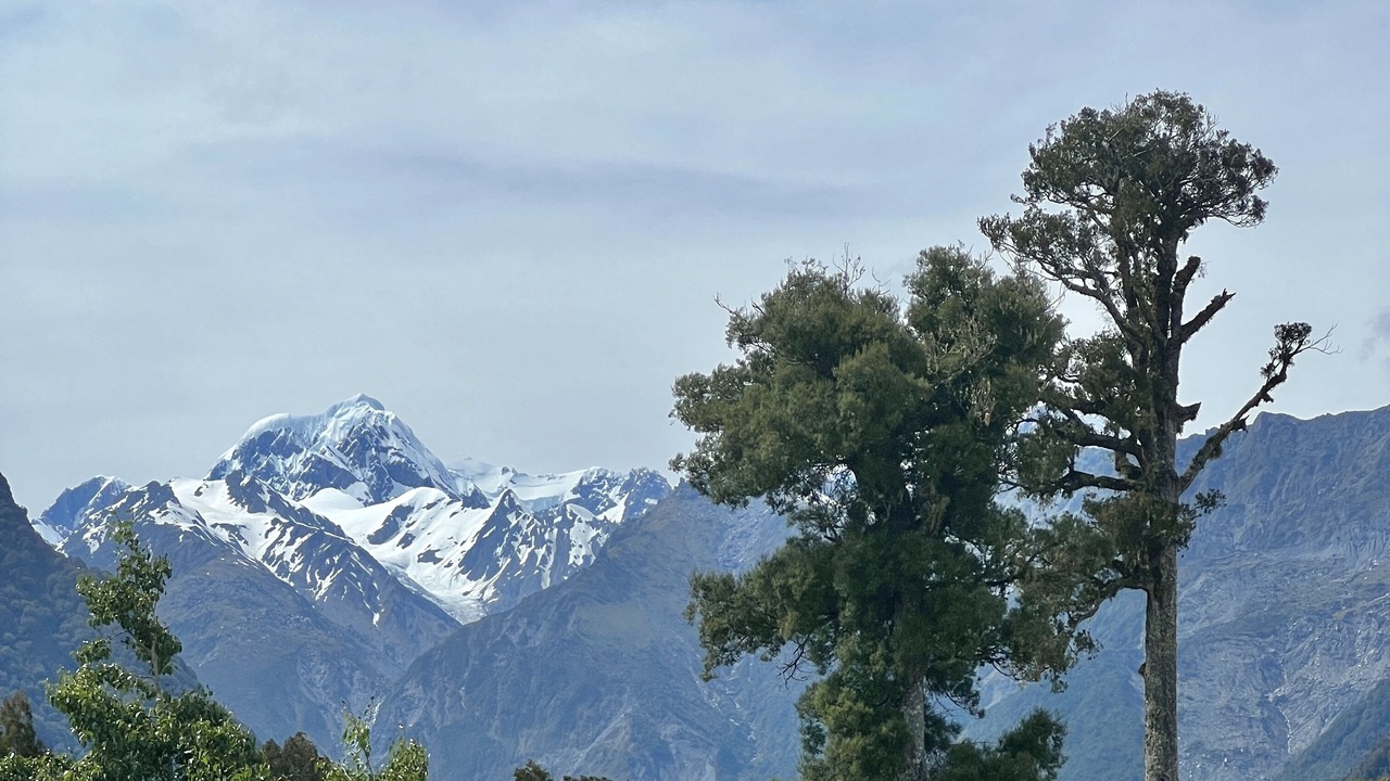 Photo of Outdoor in Fox Glacier