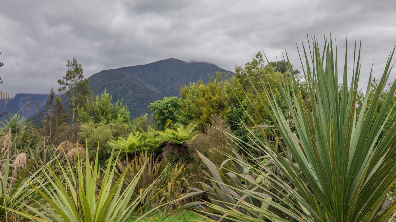 Photo of Outdoor in Fox Glacier