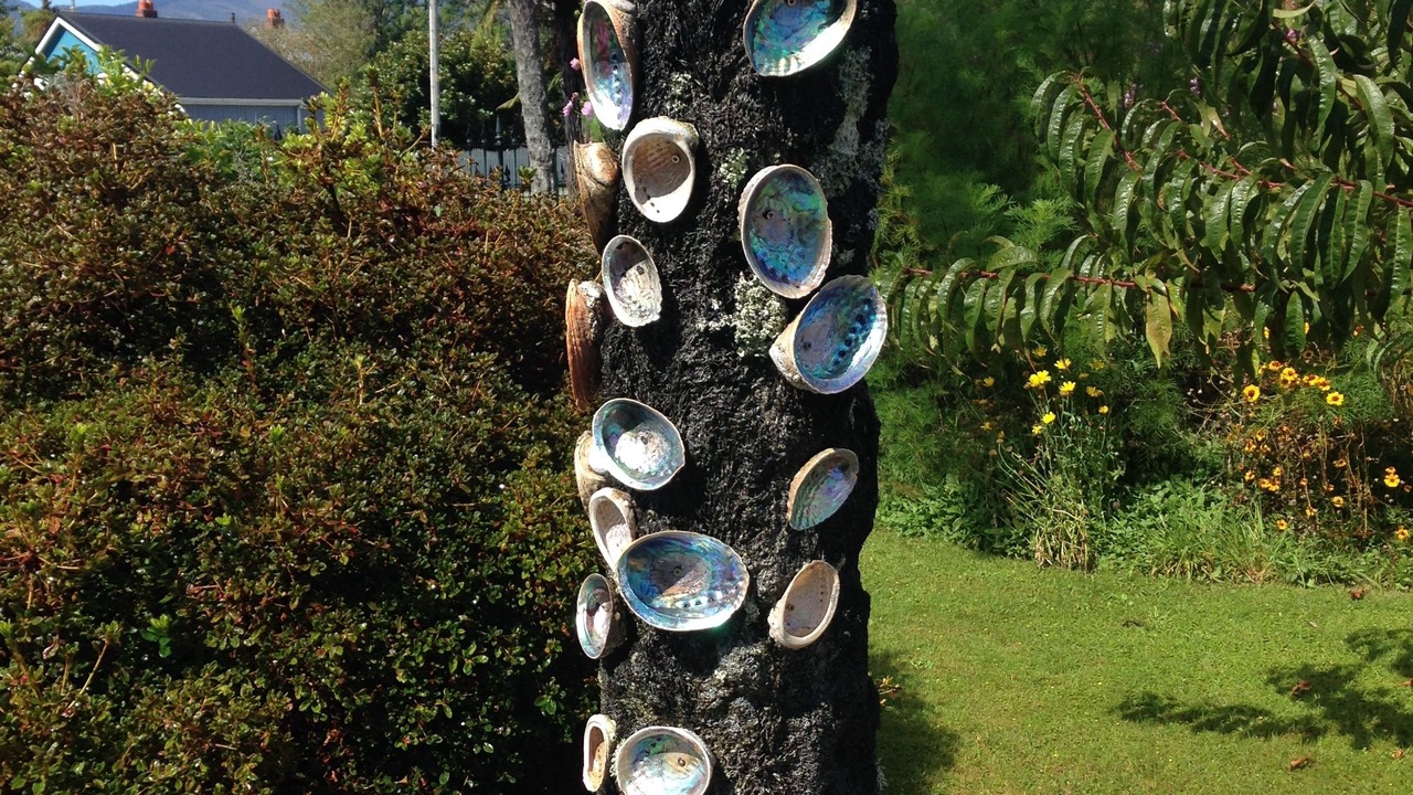 Photo of Outdoor in Westport
