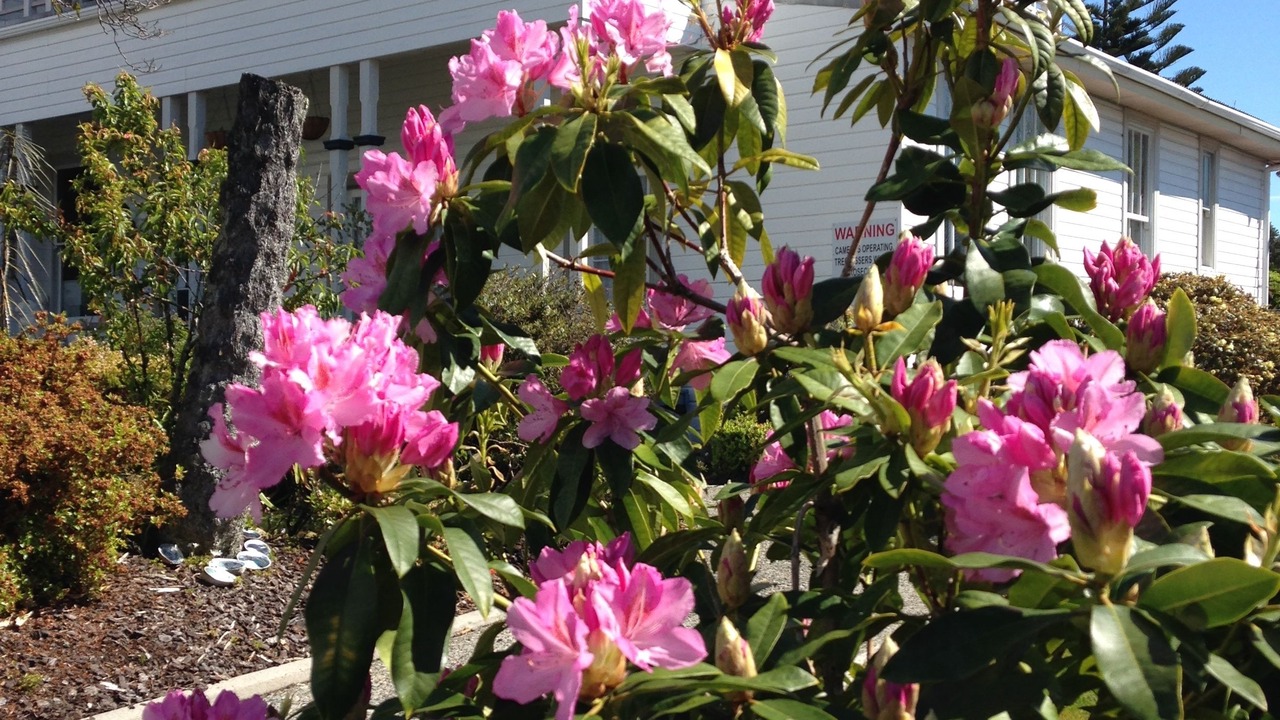 Photo of Outdoor in Westport
