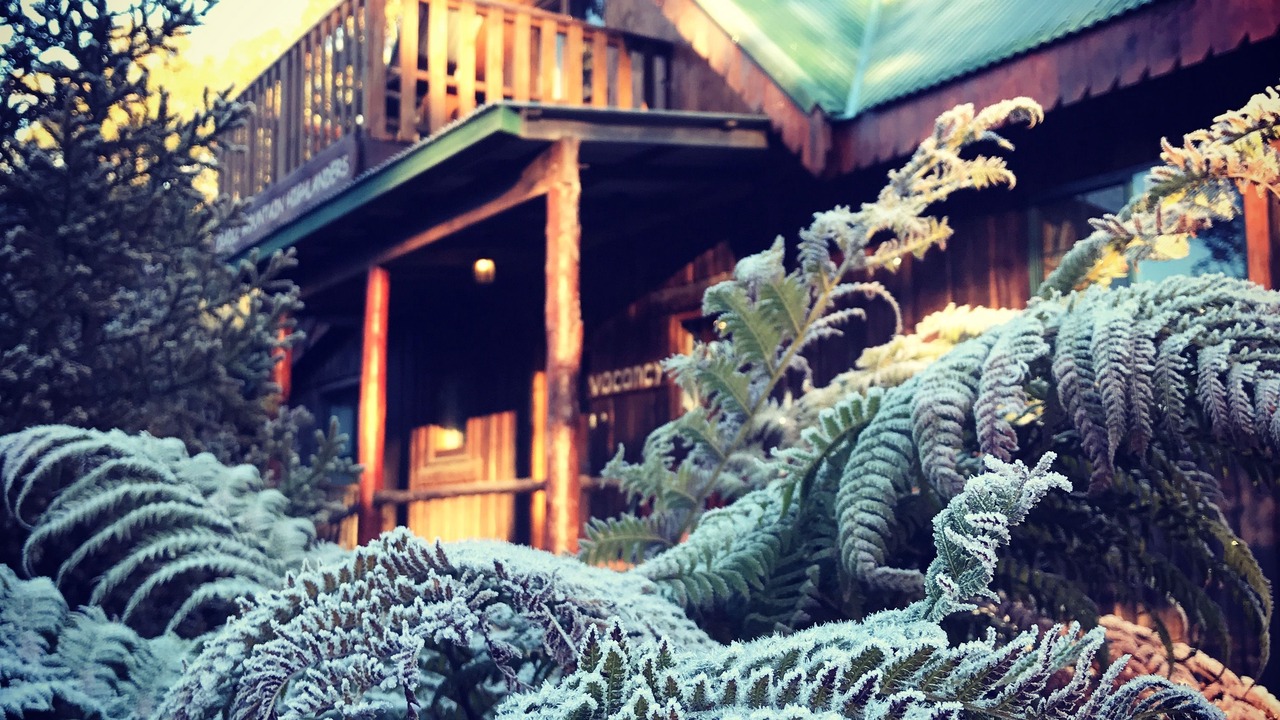 Photo of Others in Cradle Mountain