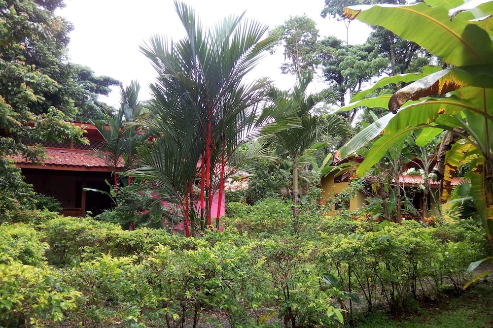 Photo of Outdoor in Chiguata