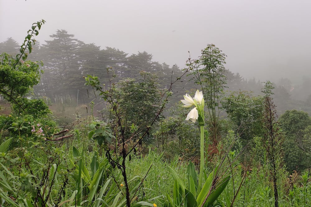 Photo of Outdoor in Roble