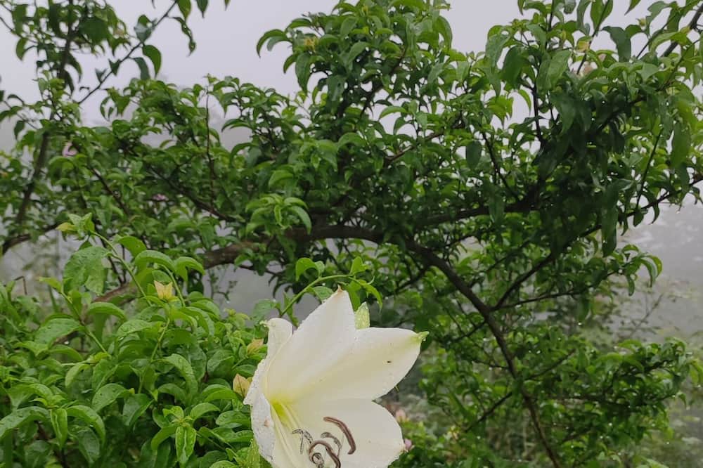 Photo of Outdoor in Roble