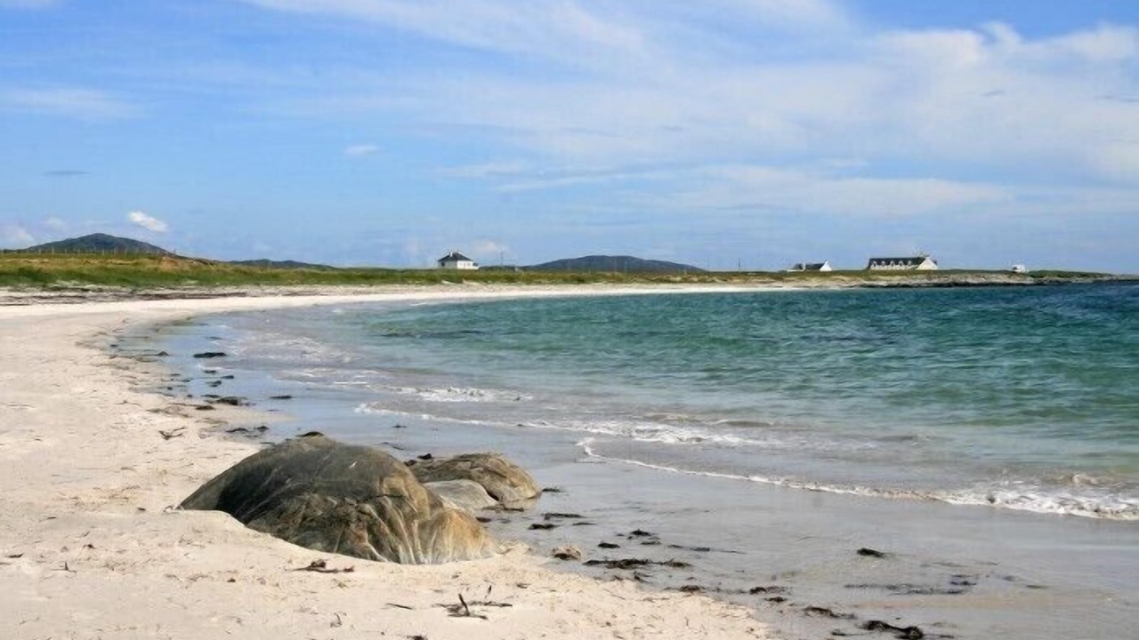 Photo of Others in Pollachar