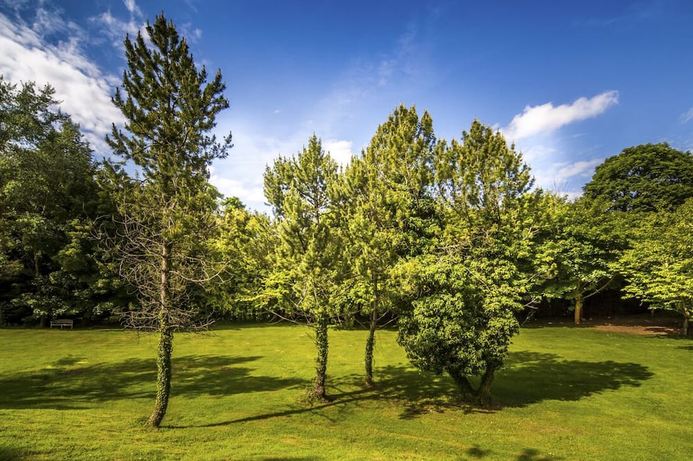 Photo of Outdoor in Dalkeith