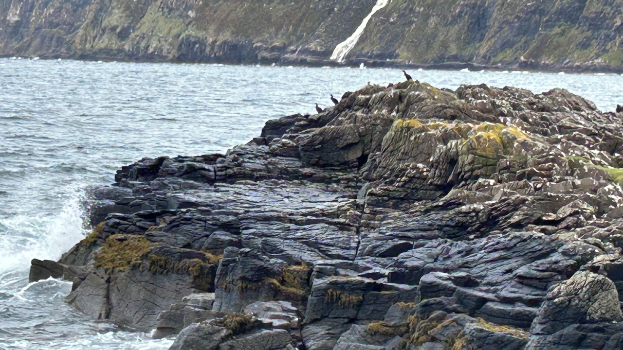 Photo of Others in Colbost