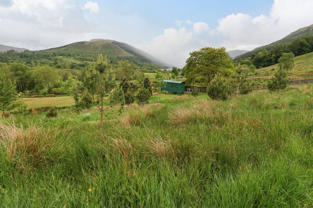Photo of Outdoor in Lochearnhead