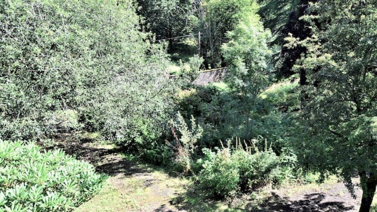 Photo of Outdoor in Kirtlebridge