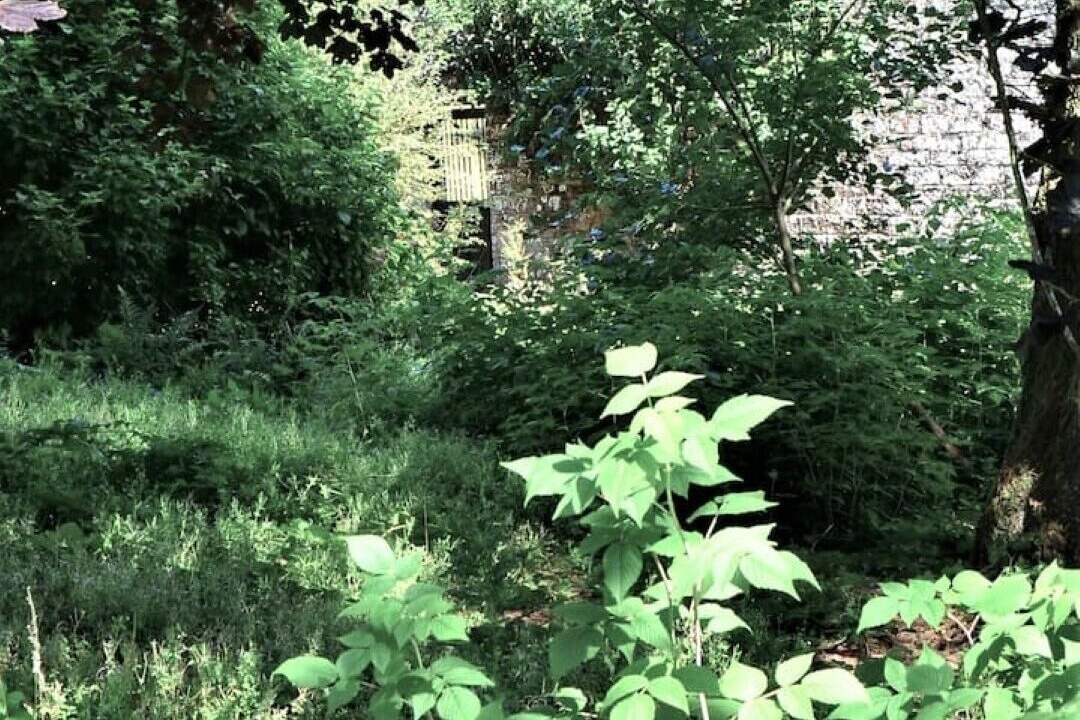 Photo of Outdoor in Kirtlebridge