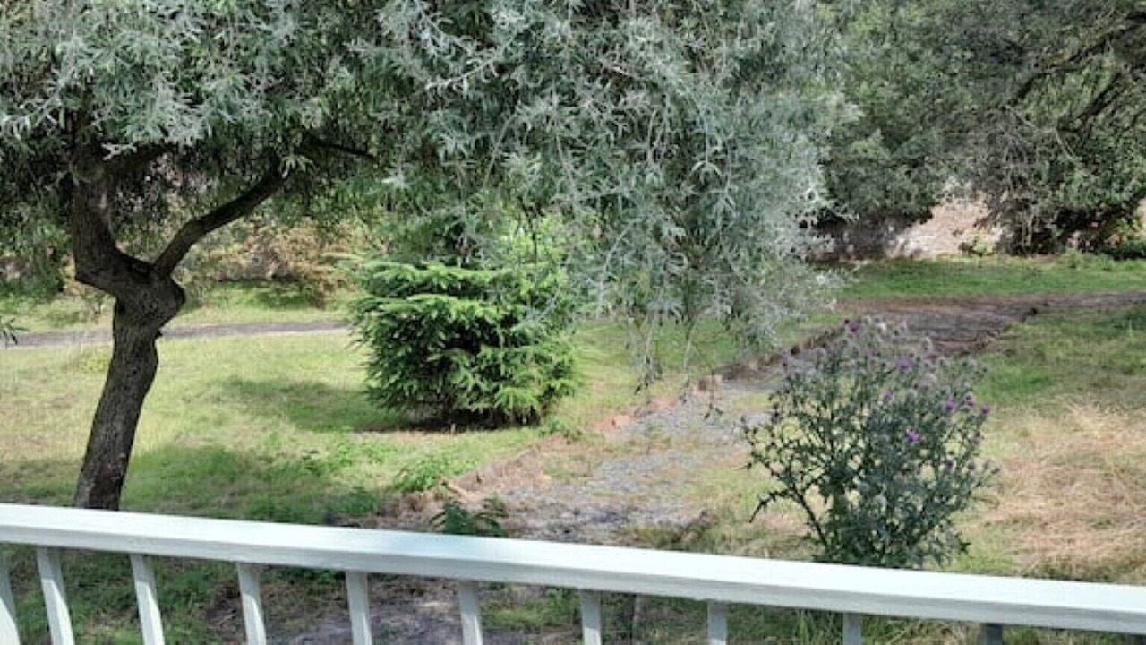 Photo of Outdoor in Kirtlebridge