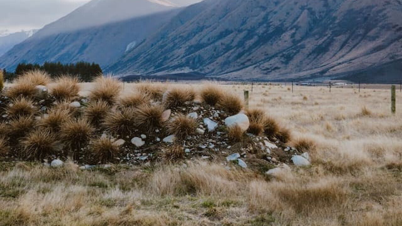 Photo of Outdoor in Ben Ohau