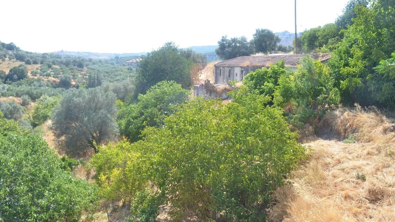 Photo of Outdoor in Faistos