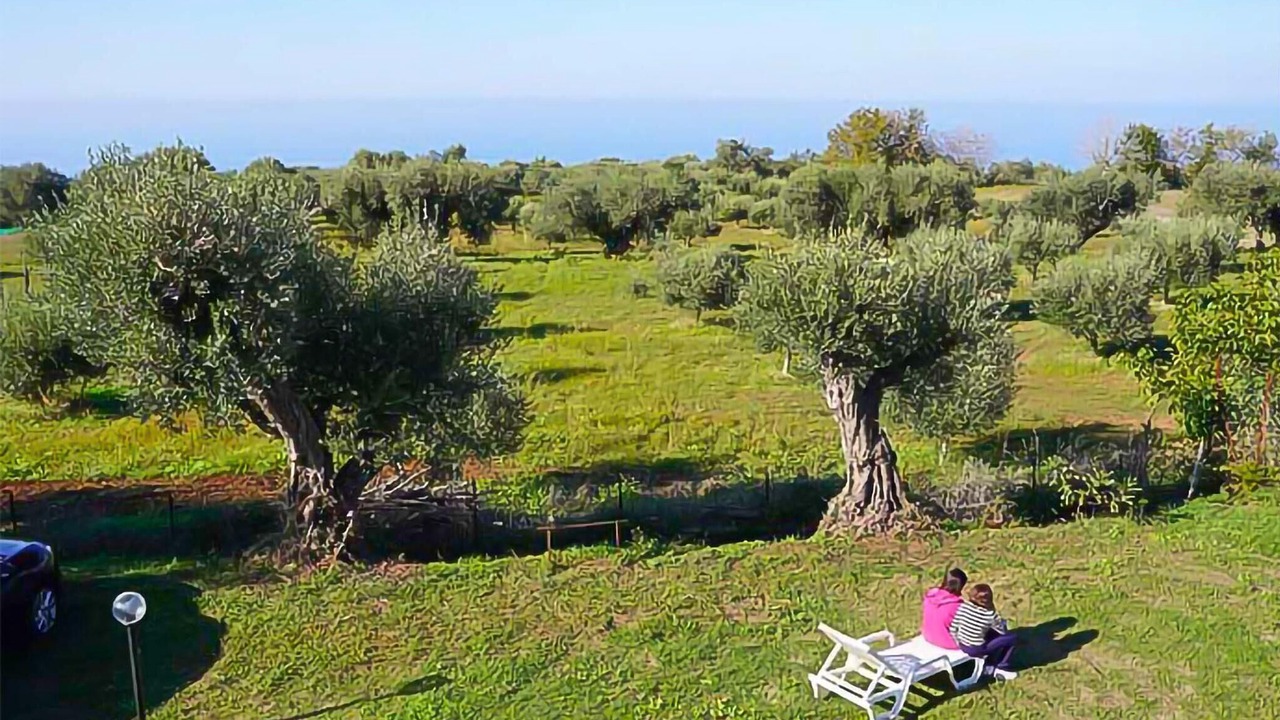 Photo of Outdoor in Zambrone