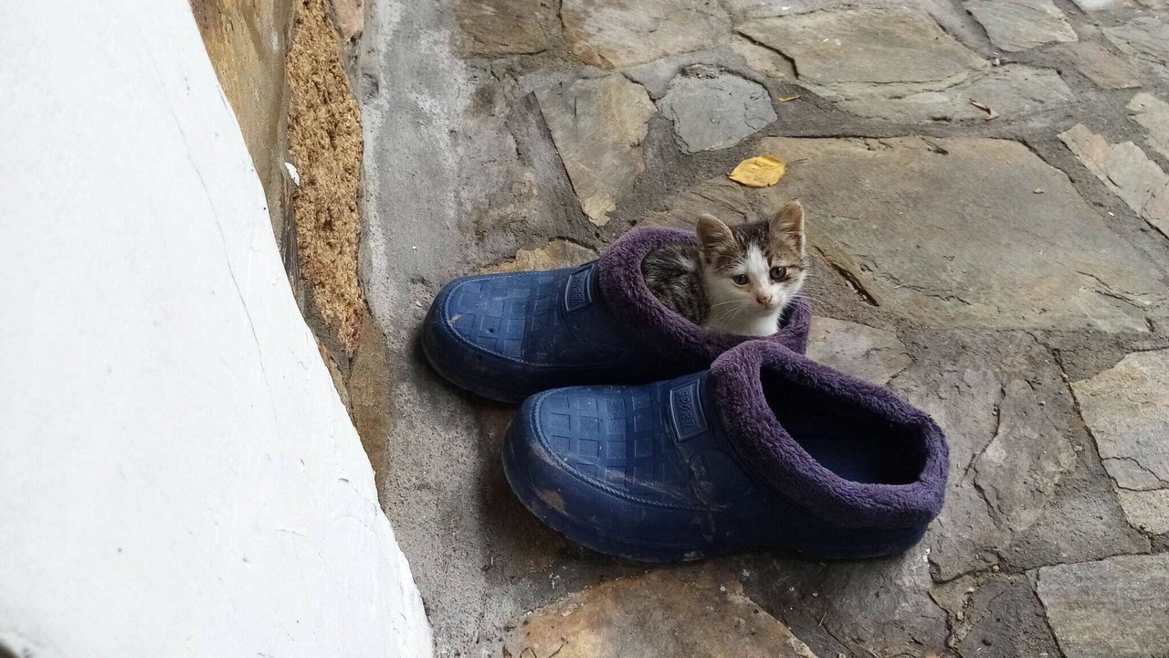 Photo of Others in Agios Nikolaos