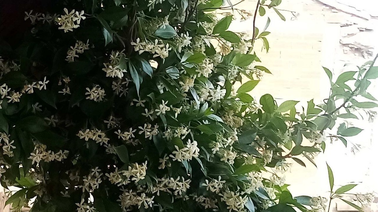 Photo of Outdoor in Agios Nikolaos