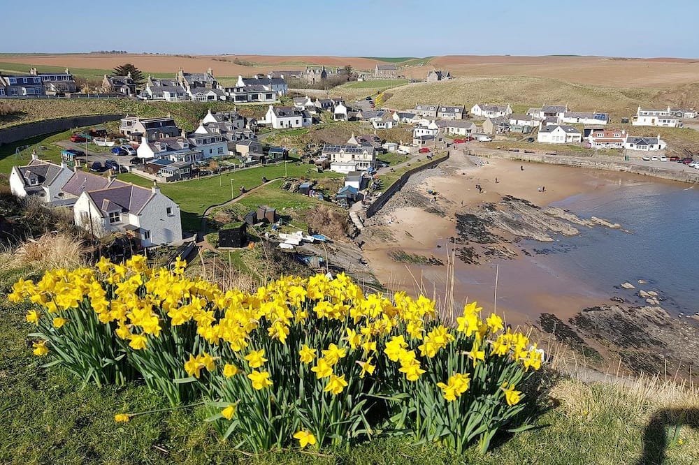 Photo of Outdoor in Ellon