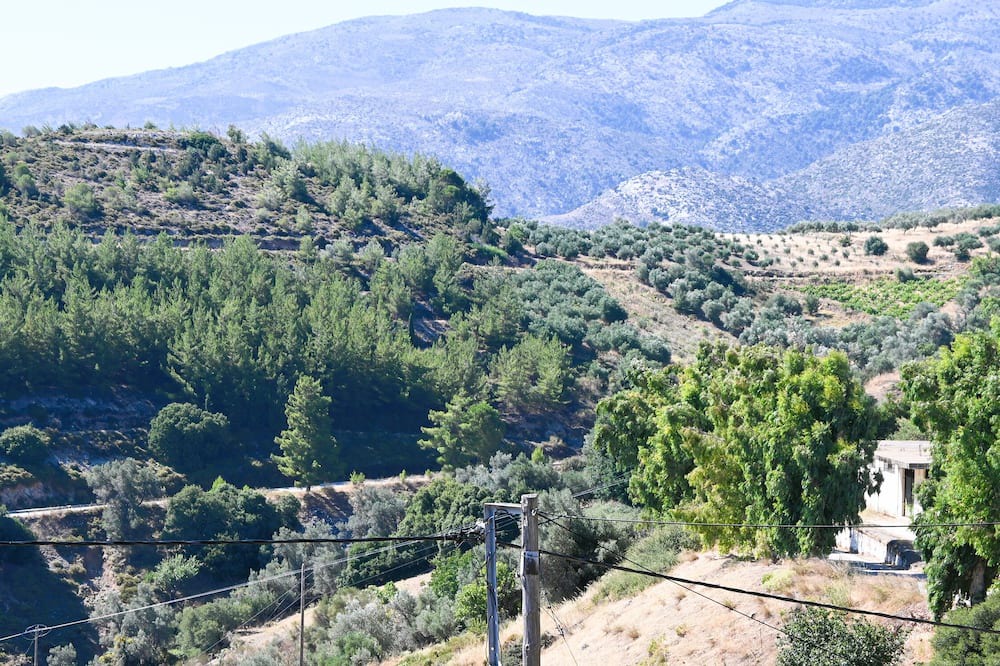 Photo of Others in Astiraki
