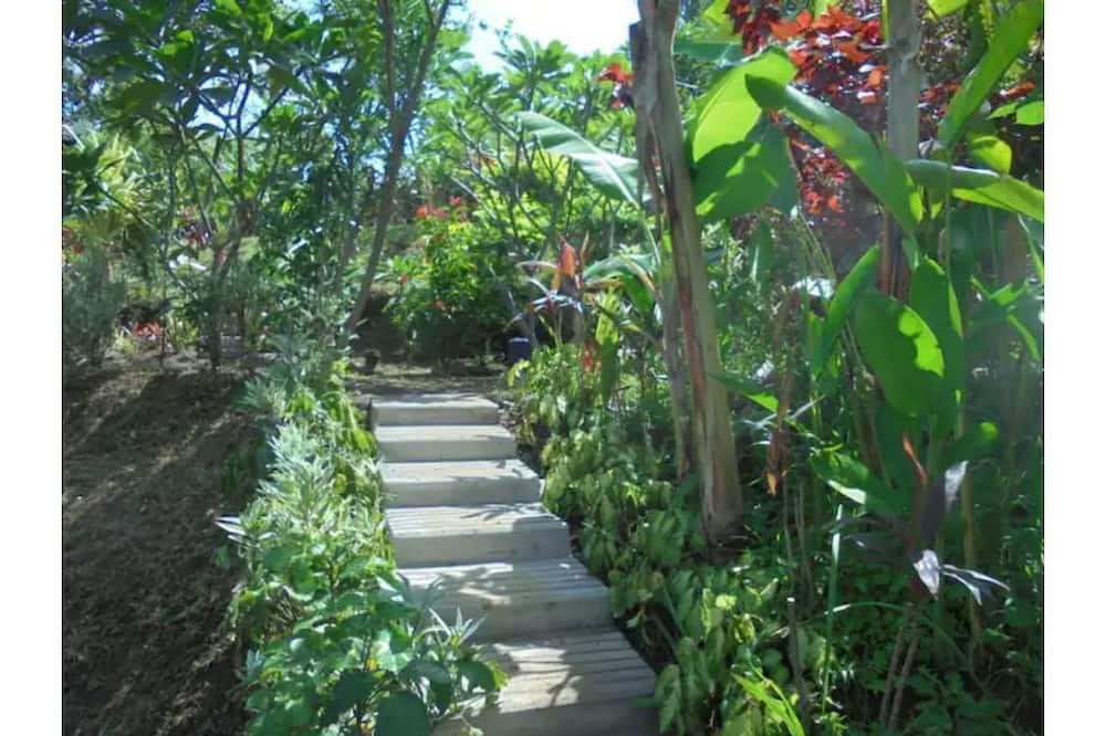 Photo of Outdoor in Sukasada