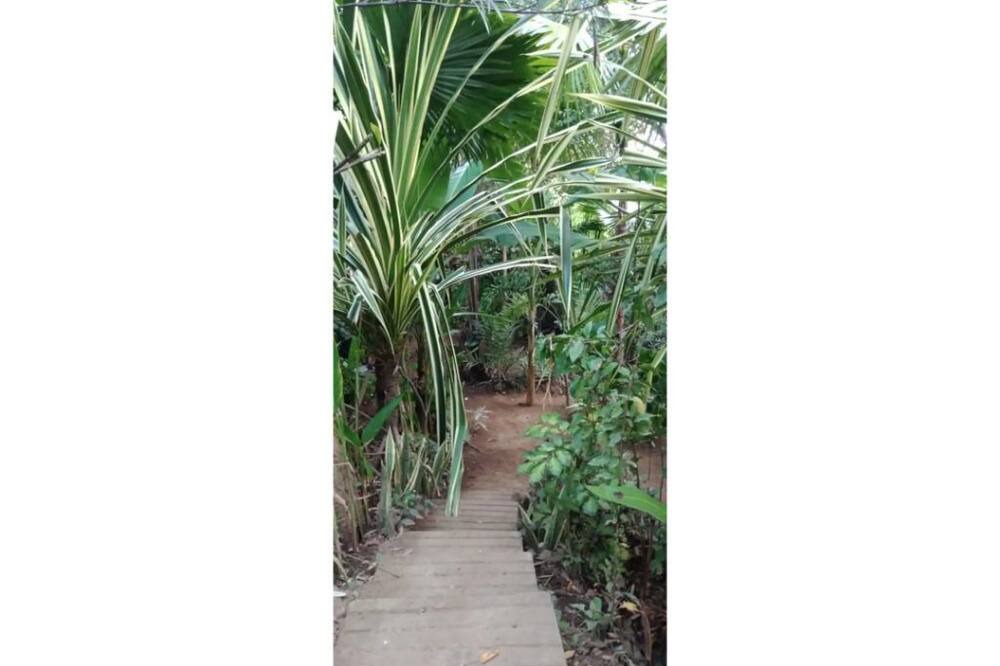 Photo of Outdoor in Sukasada