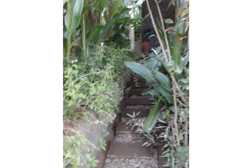 Photo of Outdoor in Sukasada