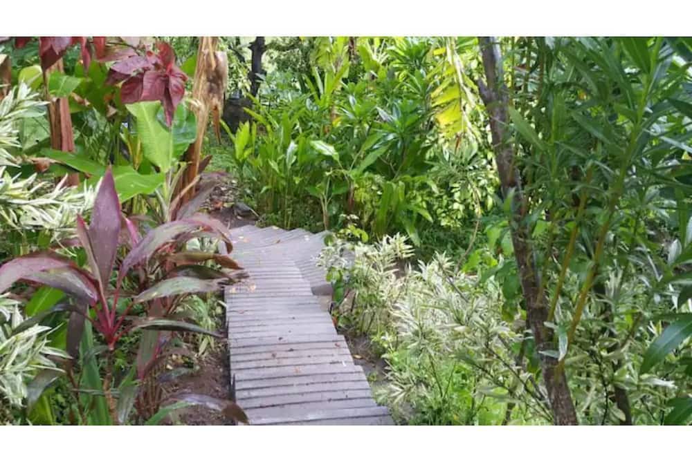 Photo of Outdoor in Sukasada