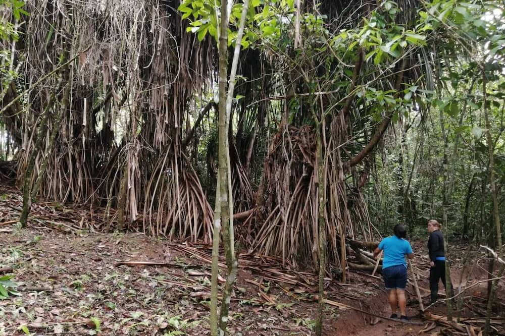 Photo of Outdoor in Vieja