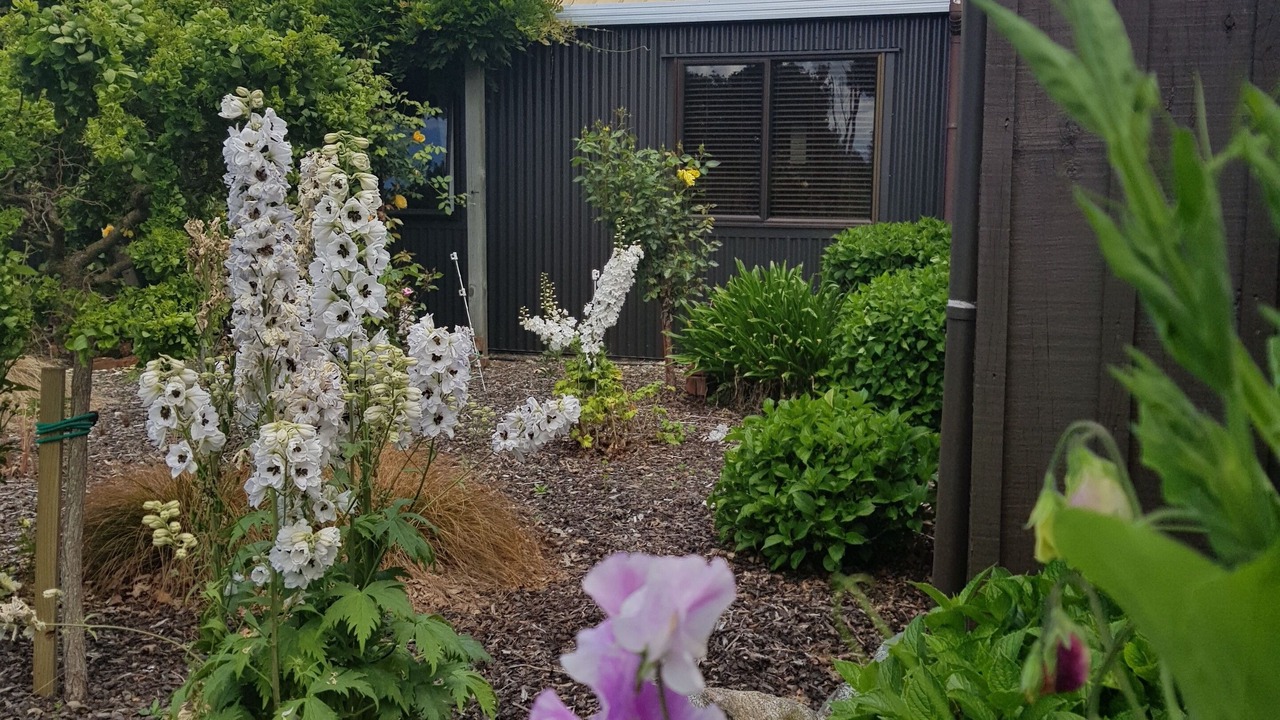 Photo of Outdoor in Te Anau