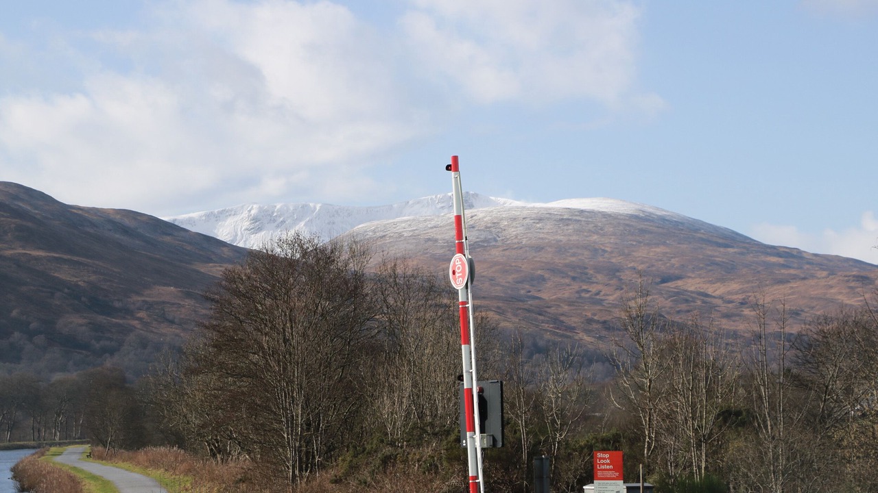 Photo of Others in Torcastle