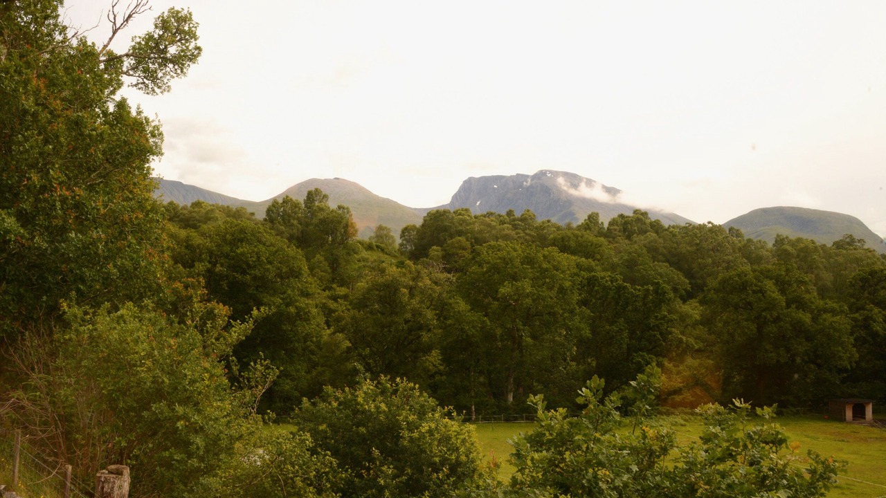 Photo of Others in Torcastle