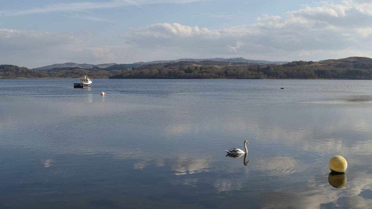 Photo of Outdoor in Benderloch