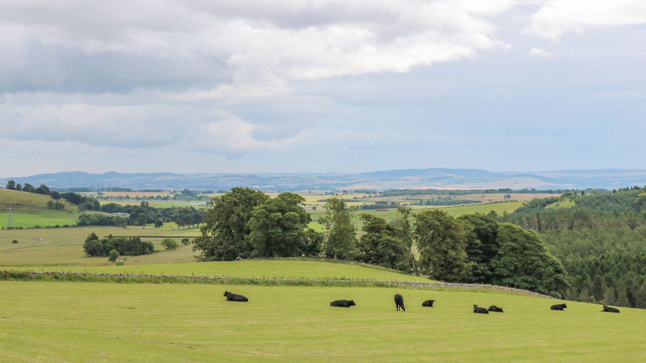 Photo of Others in Kirriemuir
