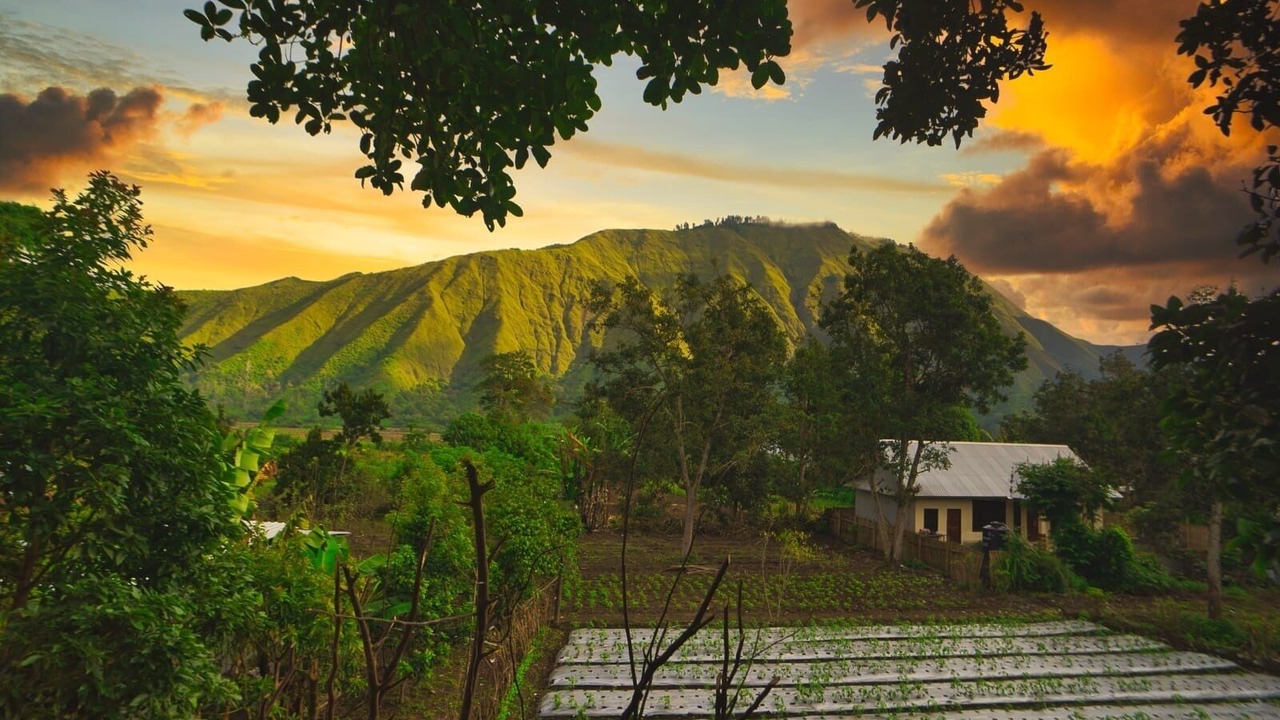 Photo of Outdoor in Kecamatan Sembalun