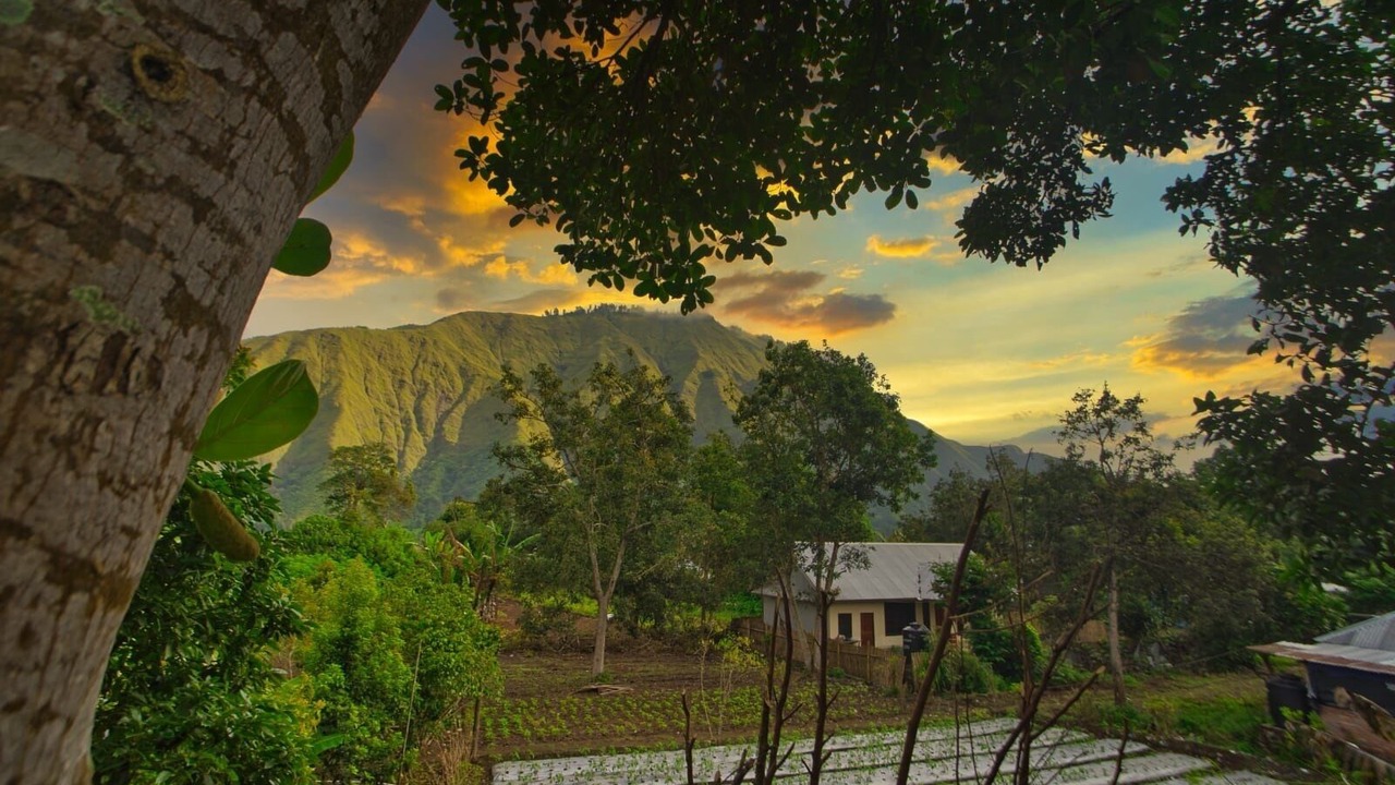 Photo of Outdoor in Kecamatan Sembalun