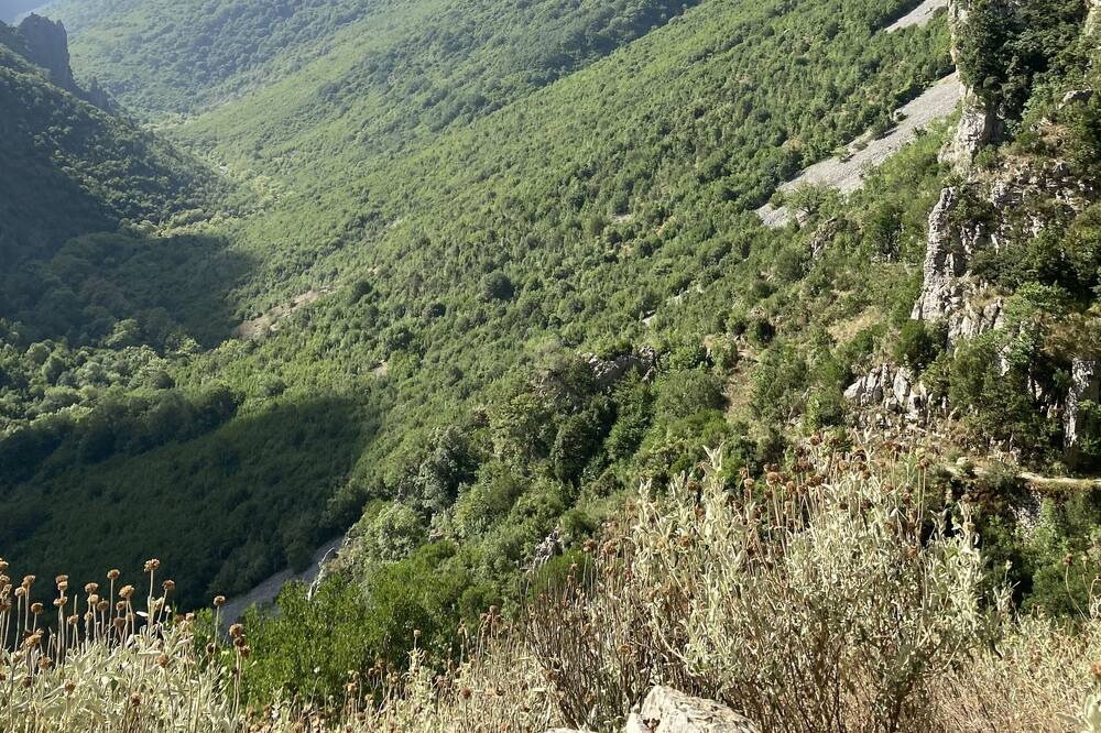 Photo of Outdoor in Aristi