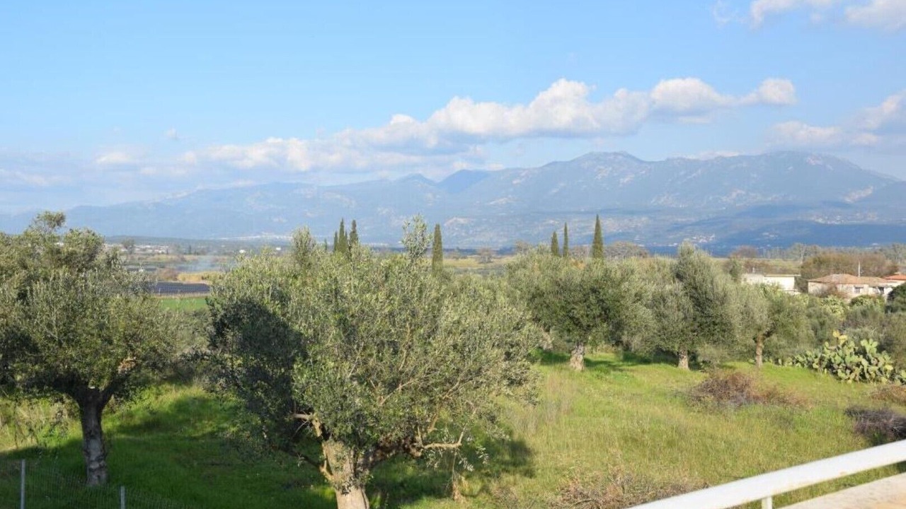 Photo of Others in Piperitsa
