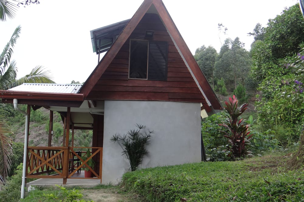 Photo of Outdoor in Pacuare Reserve