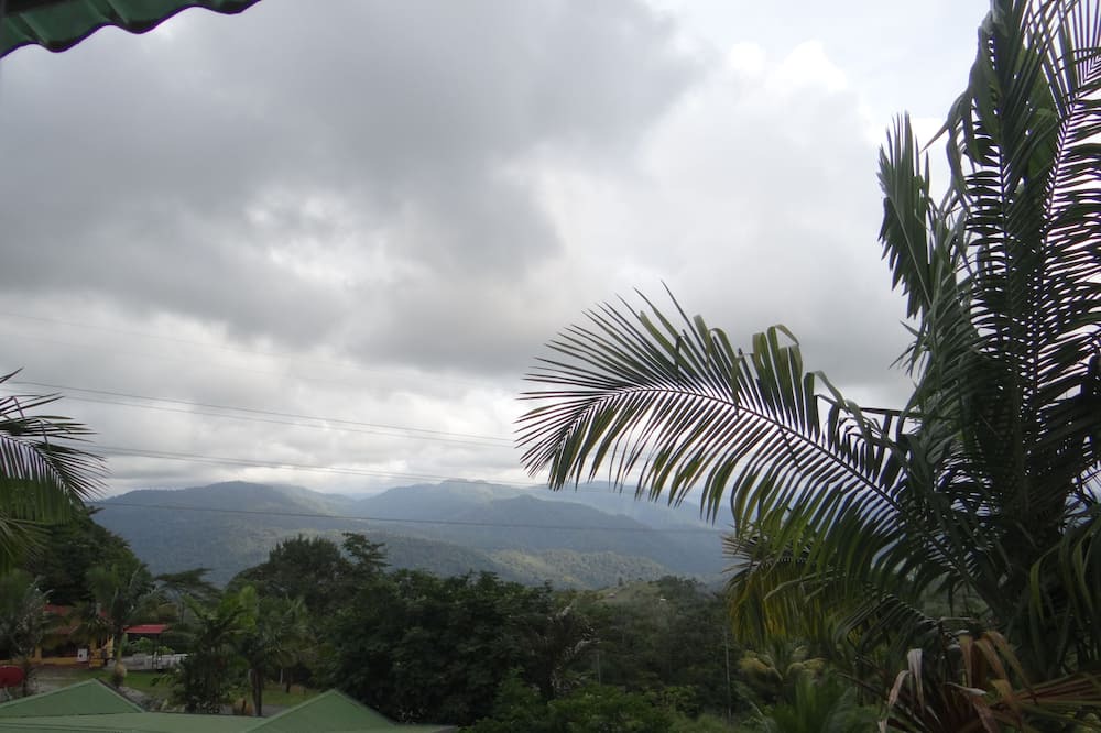 Photo of Others in Pacuare Reserve