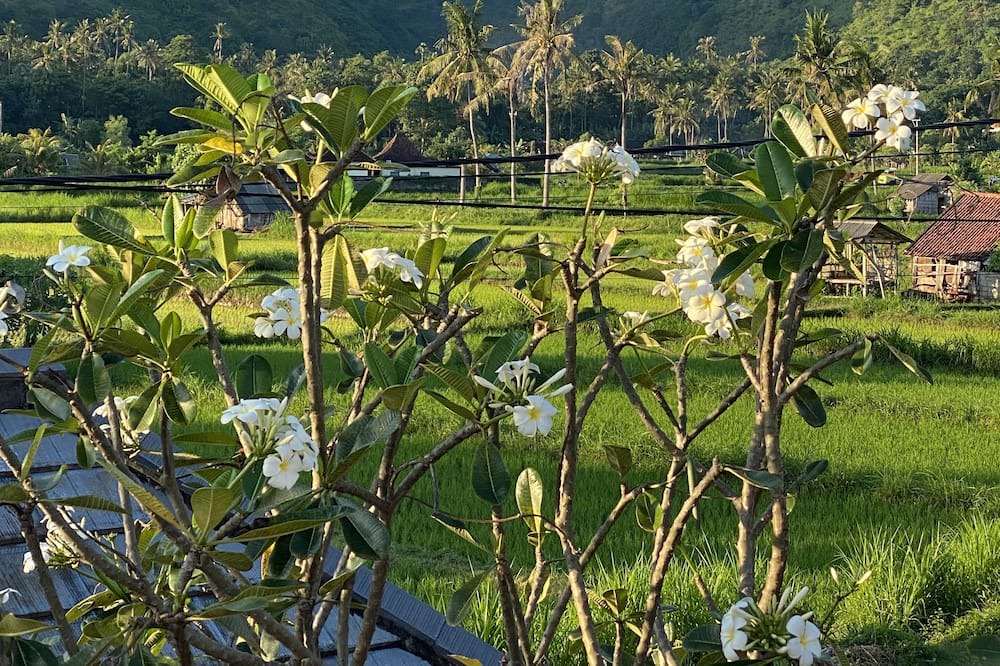 Photo of Others in Purwakerti