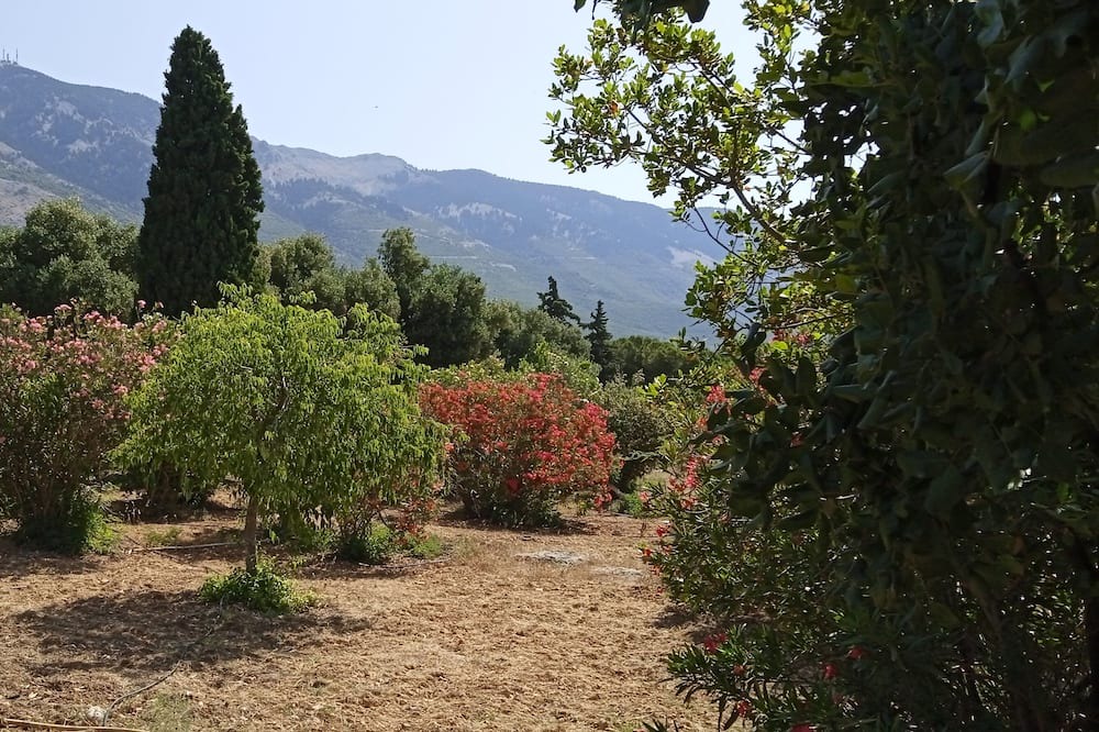 Photo of Outdoor in Lourdata