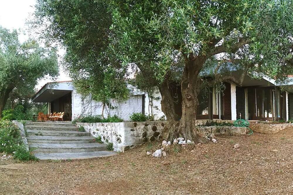 Photo of Outdoor in Lourdata