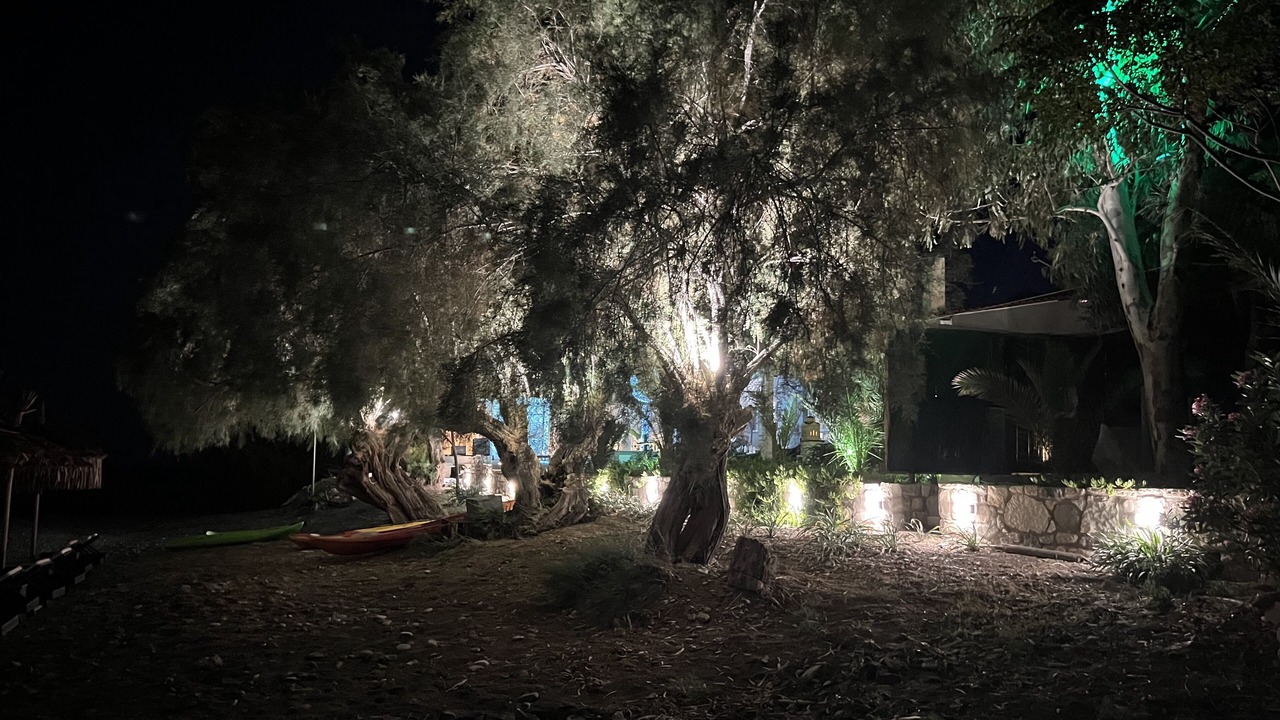 Photo of Outdoor in Viannos