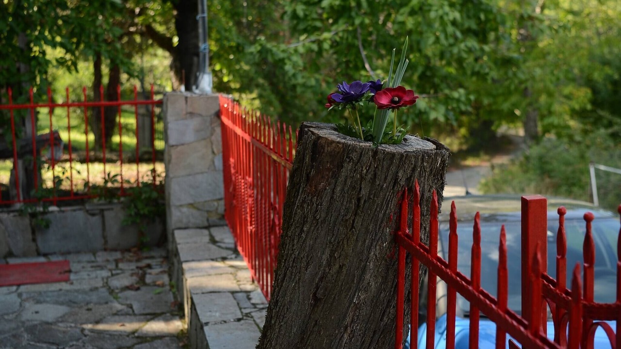 Photo of Patio Balcony in Elatochori