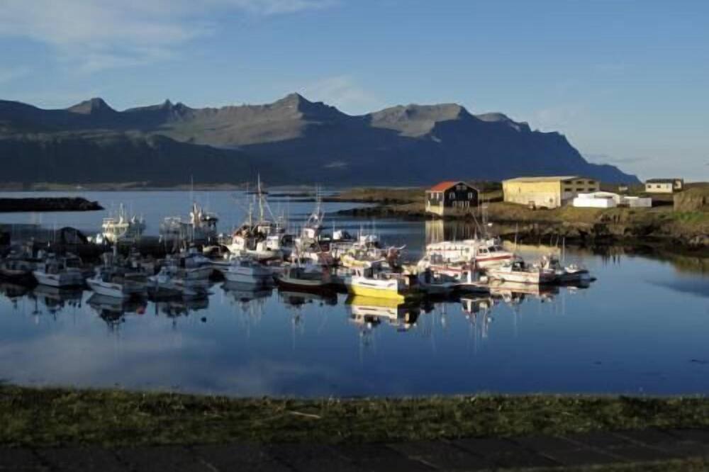 Photo of Others in Djupivogur