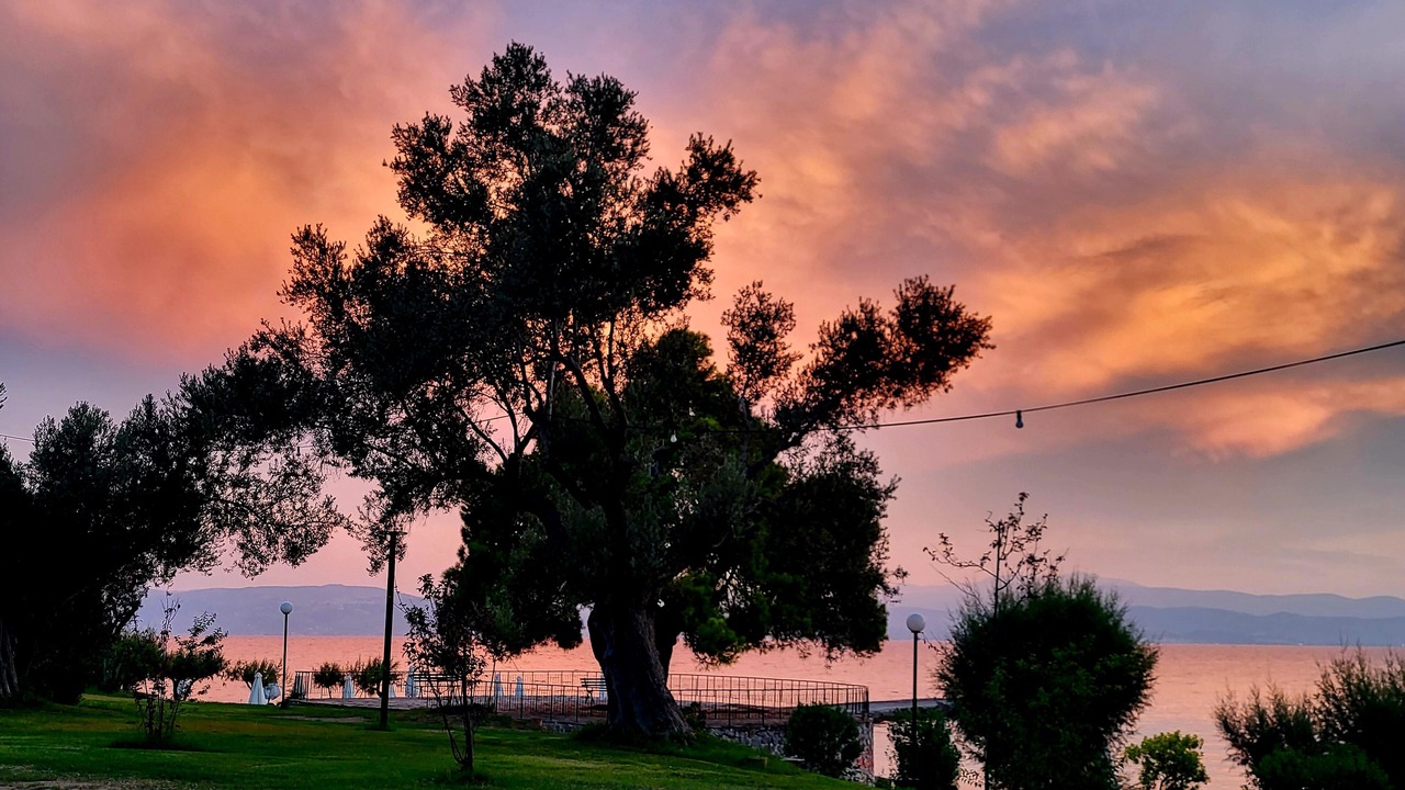 Photo of Others in Eretria
