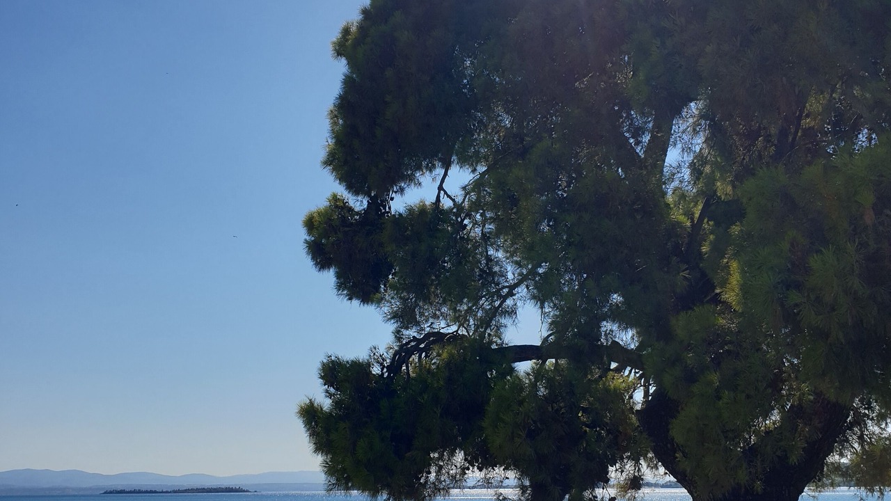 Photo of Others in Eretria